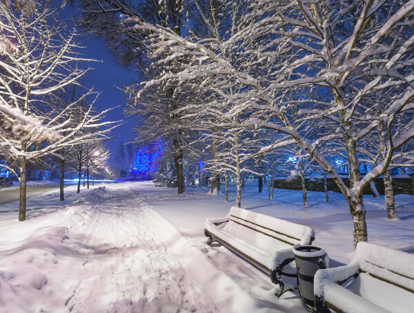公园夜晚雪景