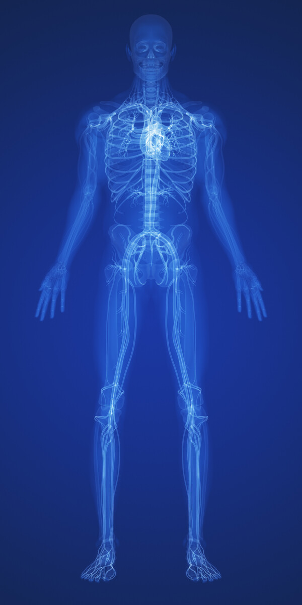 人体X光图像图片
