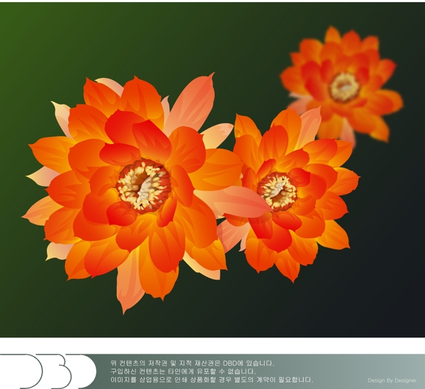 矢量花