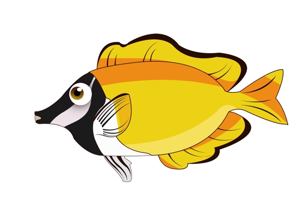 黄色尖嘴鱼生物