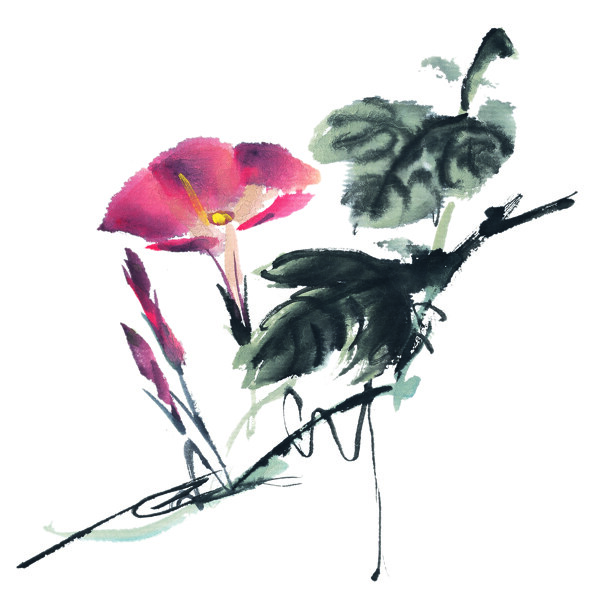 百花055