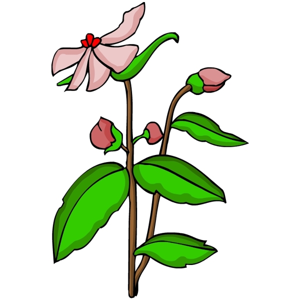 花卉古典插畫
