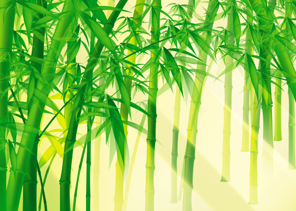 绿色竹林背景墙