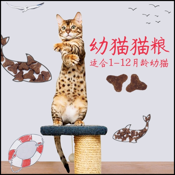 貓糧