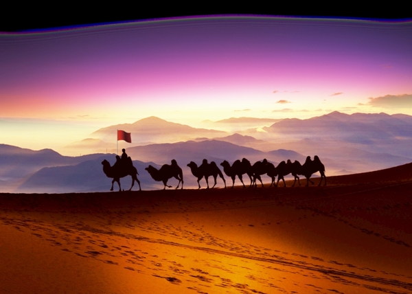 骆驼沙漠背景图片