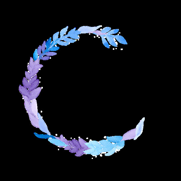 精致花環(huán)透明裝飾素材