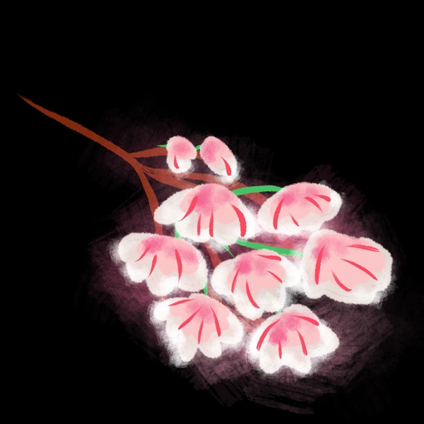 日本粉色的樱花插画