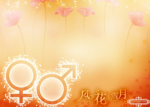 婚紗模版