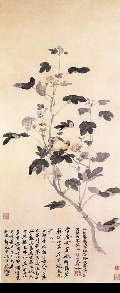 一棵樹(shù)圖片