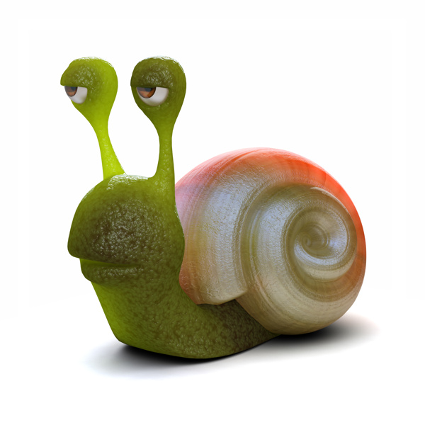 一个蜗牛图片