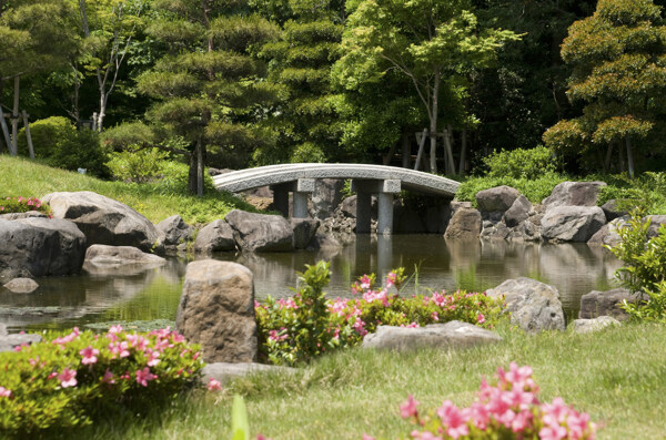 日本花园小桥风景