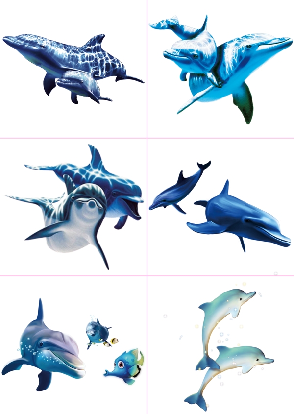 086蓝色海豚