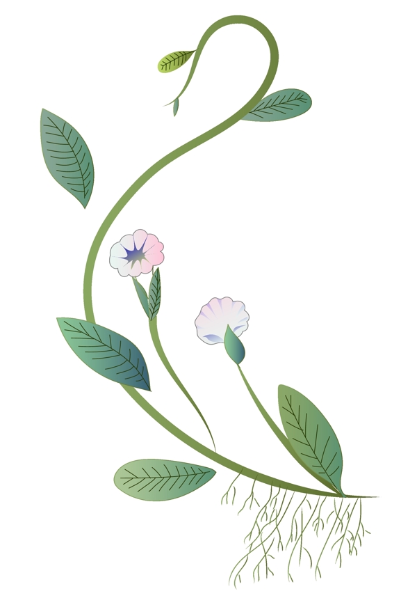 小清新植物花藤插图