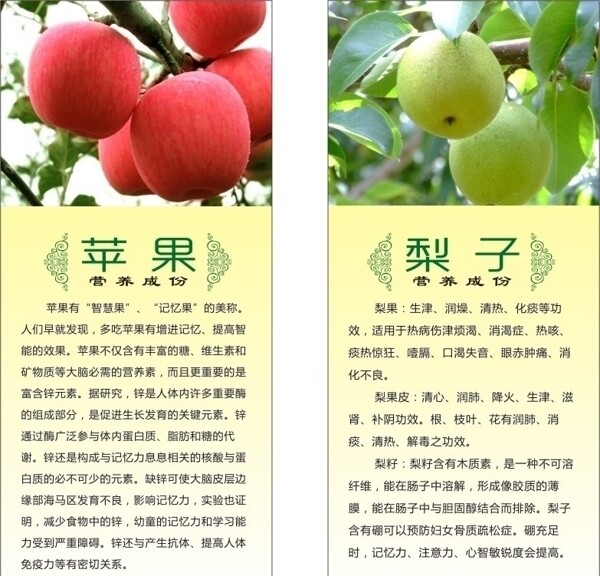 苹果梨子的营养成份图片