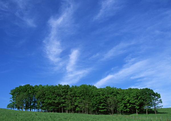 田園風(fēng)光
