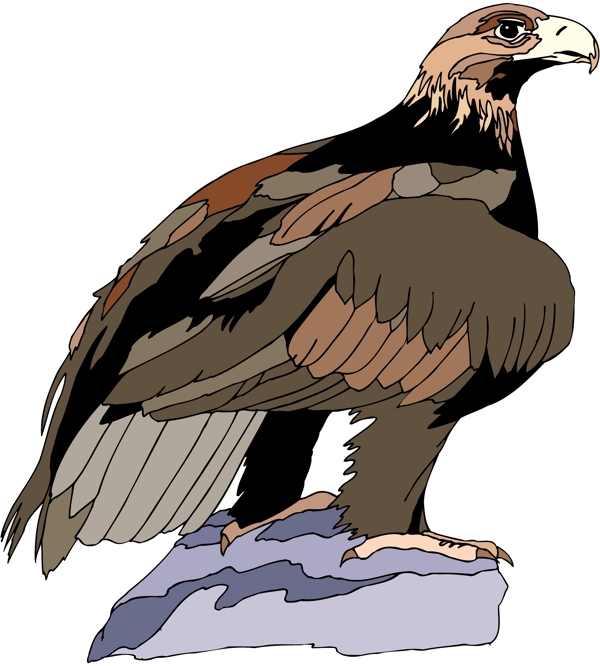 各種鳥類鳥動物矢量素材EPS格式0822