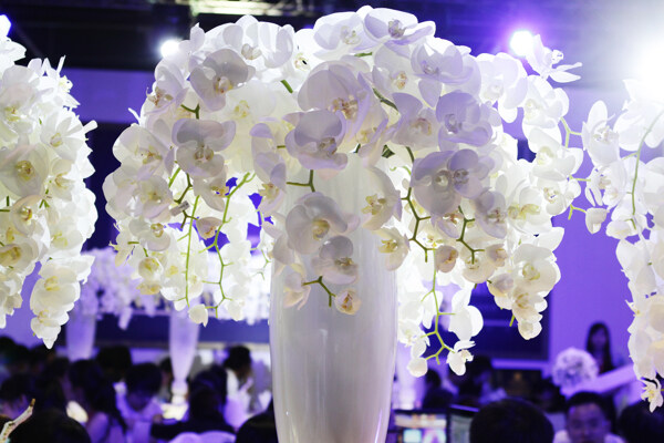 桌花圖片
