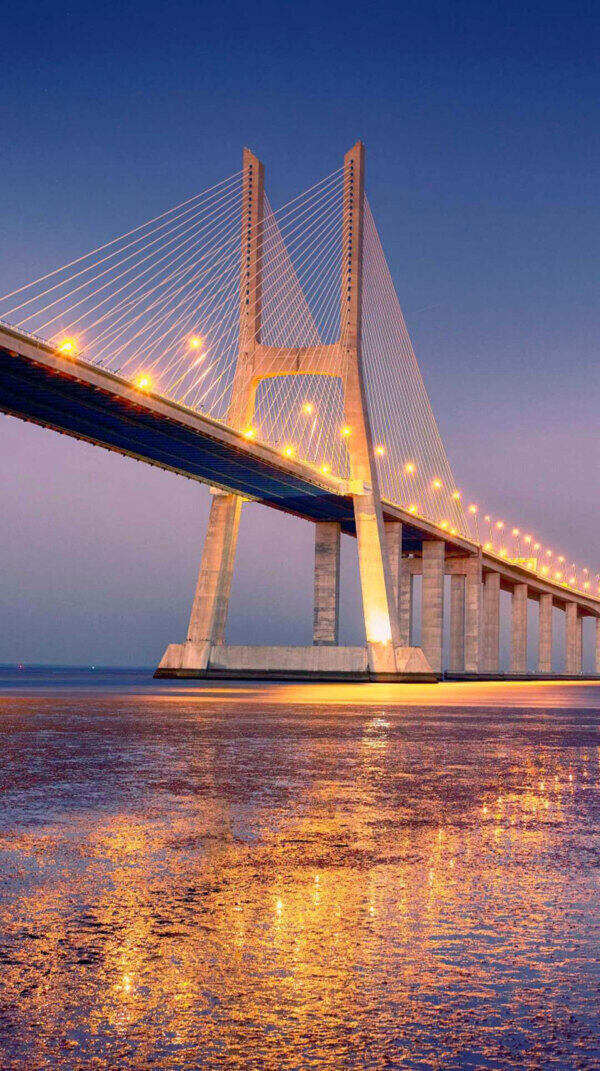 美丽的大桥夜景
