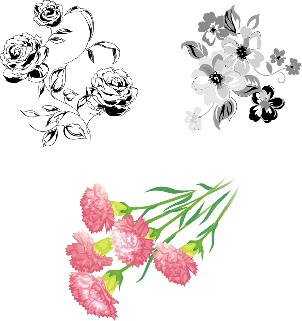花卉圖片