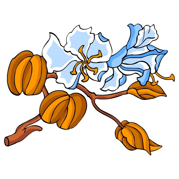 花卉古典插畫(huà)