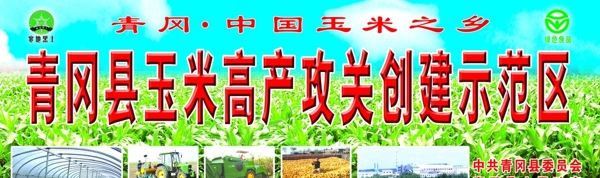 玉米示范區(qū)圖片