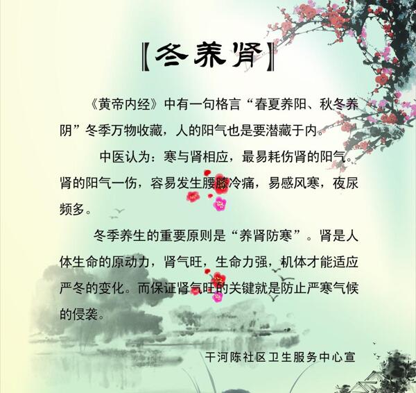 養(yǎng)生養(yǎng)腎圖片