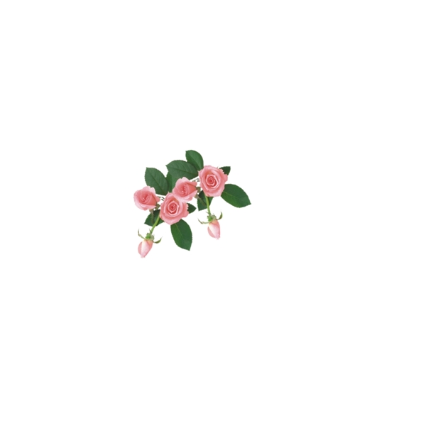 花朵綠葉