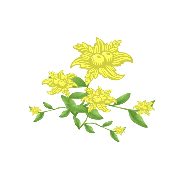 手绘植物花卉元素1