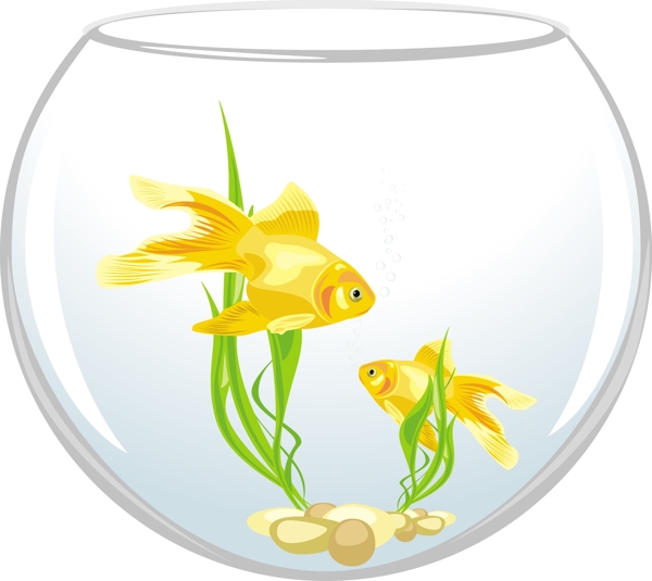 金魚(yú)矢量2