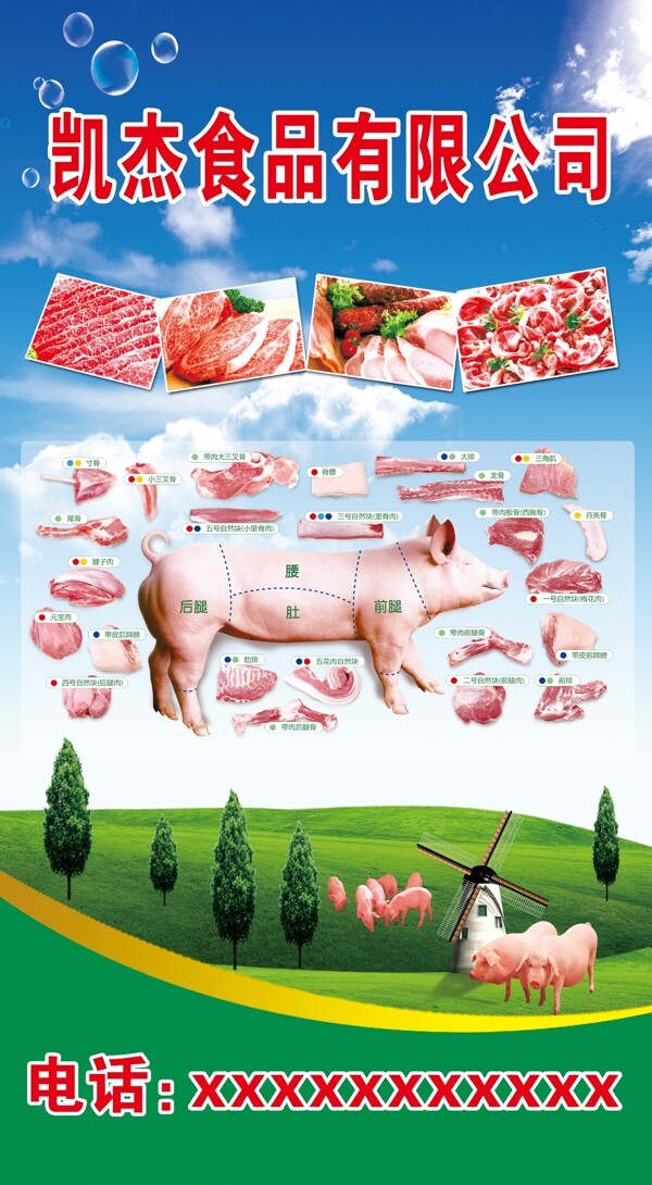 冷鲜肉猪肉分解图