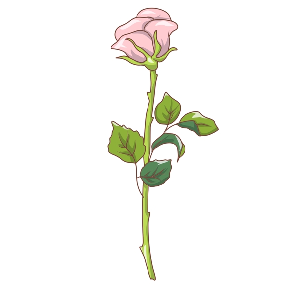 漂亮的玫瑰花手绘插画
