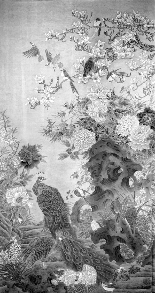 花鳥圖圖片