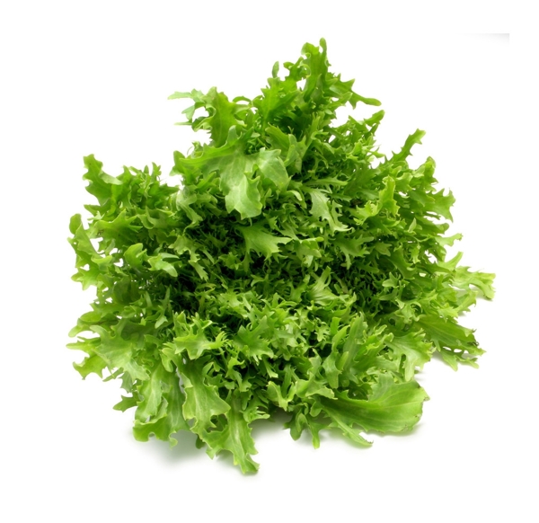 生菜