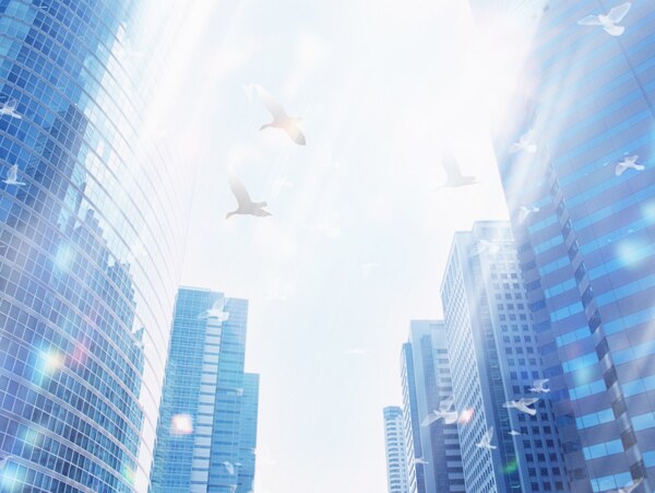 城市