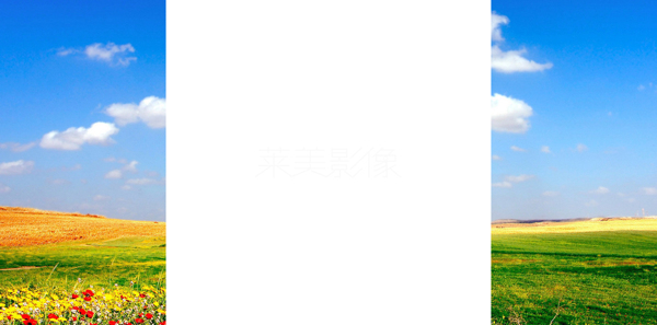 淘寶背景