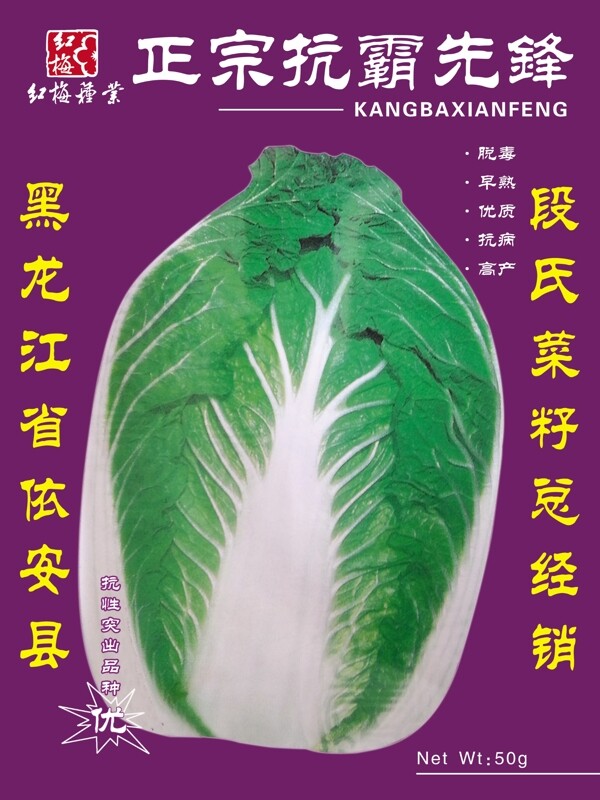 菜籽圖片