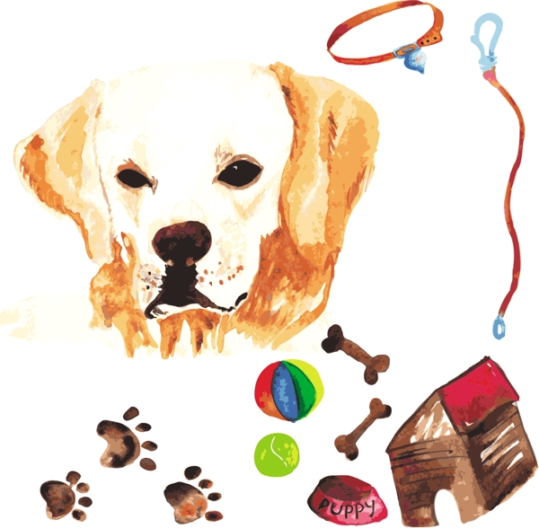 小狗水彩手绘狗及宠物用品矢量