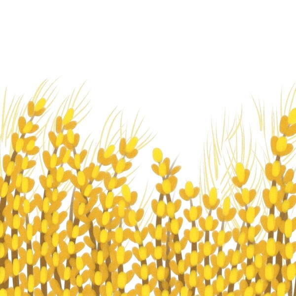金色植物稻田插画图案