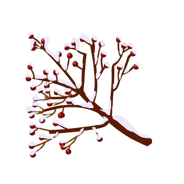 冬季积雪的树枝手绘插画