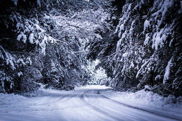 森林馬路雪景圖片