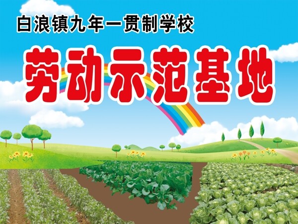 蔬菜菜園圖片