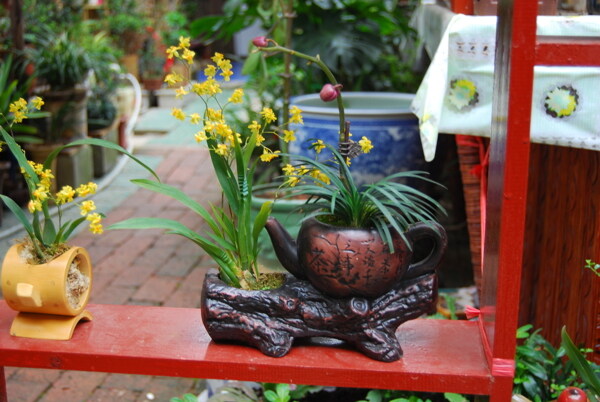 插花藝術(shù)圖