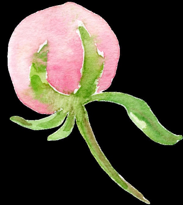 新鮮花卉卡通透明素材