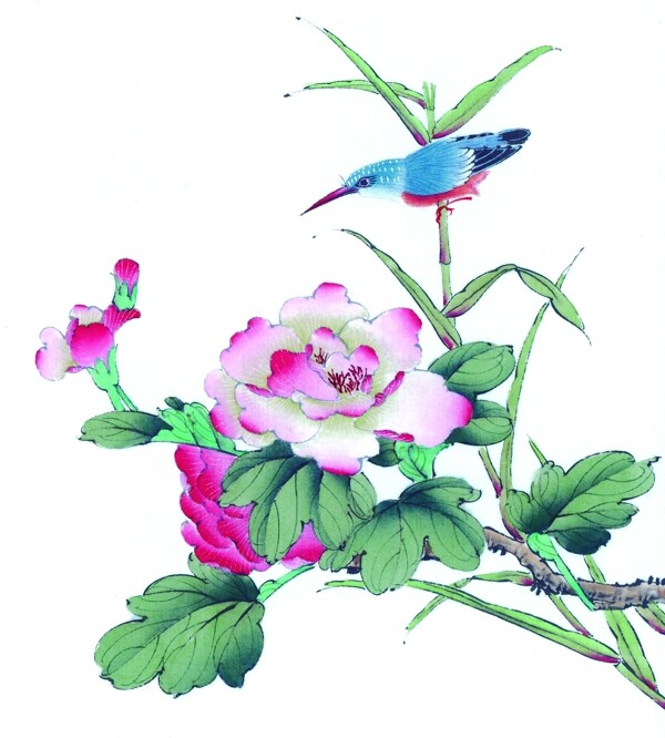 花卉与小鸟图片