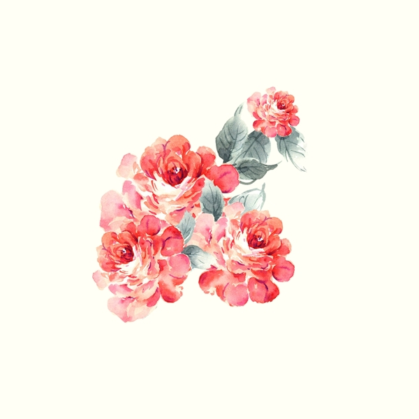 位圖psd植物花朵免費素材