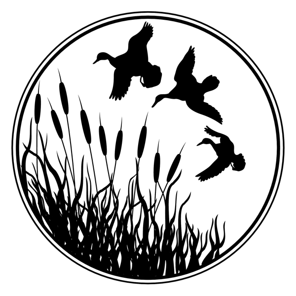 各種鳥類鳥動物矢量素材EPS格式0517