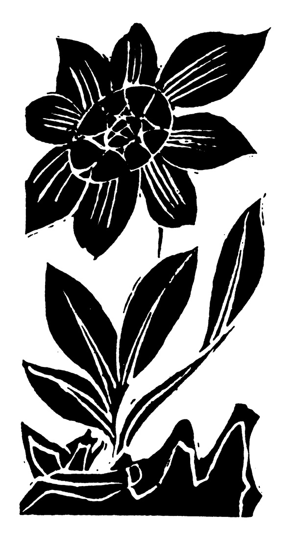 花鳥圖案元明時代圖案中國傳統(tǒng)圖案115