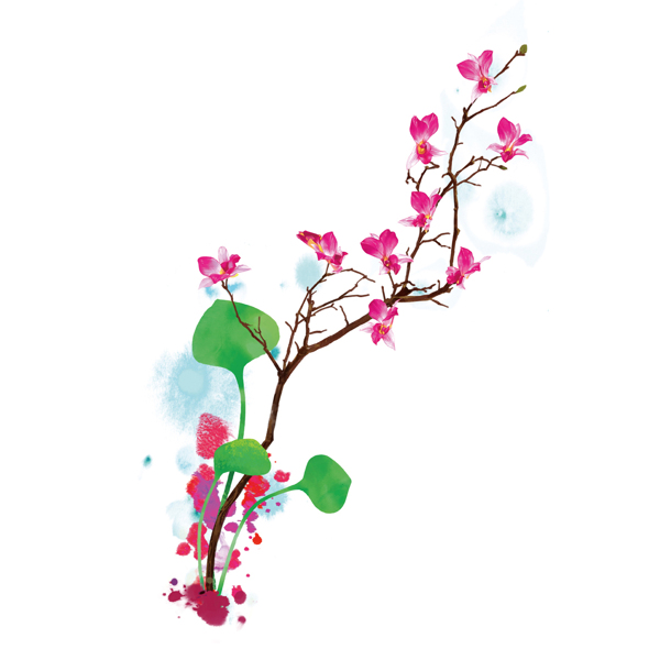 花型圖案圖片