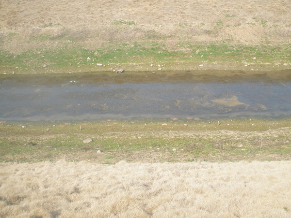 河道圖片