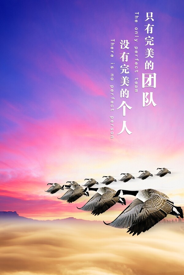 企業(yè)文化